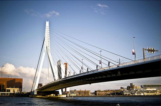 erasmus-bridge-netherland