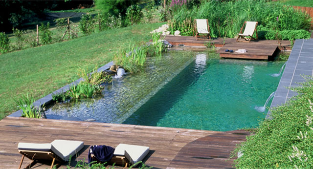 piscina-naturalizada-quintal